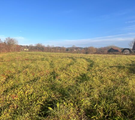 Terrain constructible Lacq  (Béarn)