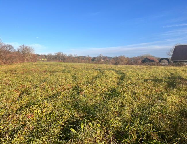 Terrain constructible Lacq  (Béarn)
