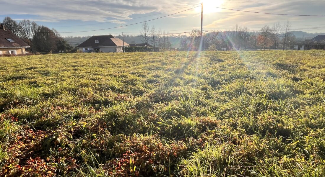 Terrain constructible Lacq  (Béarn)